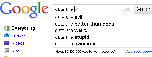 Google Cats Google Cats