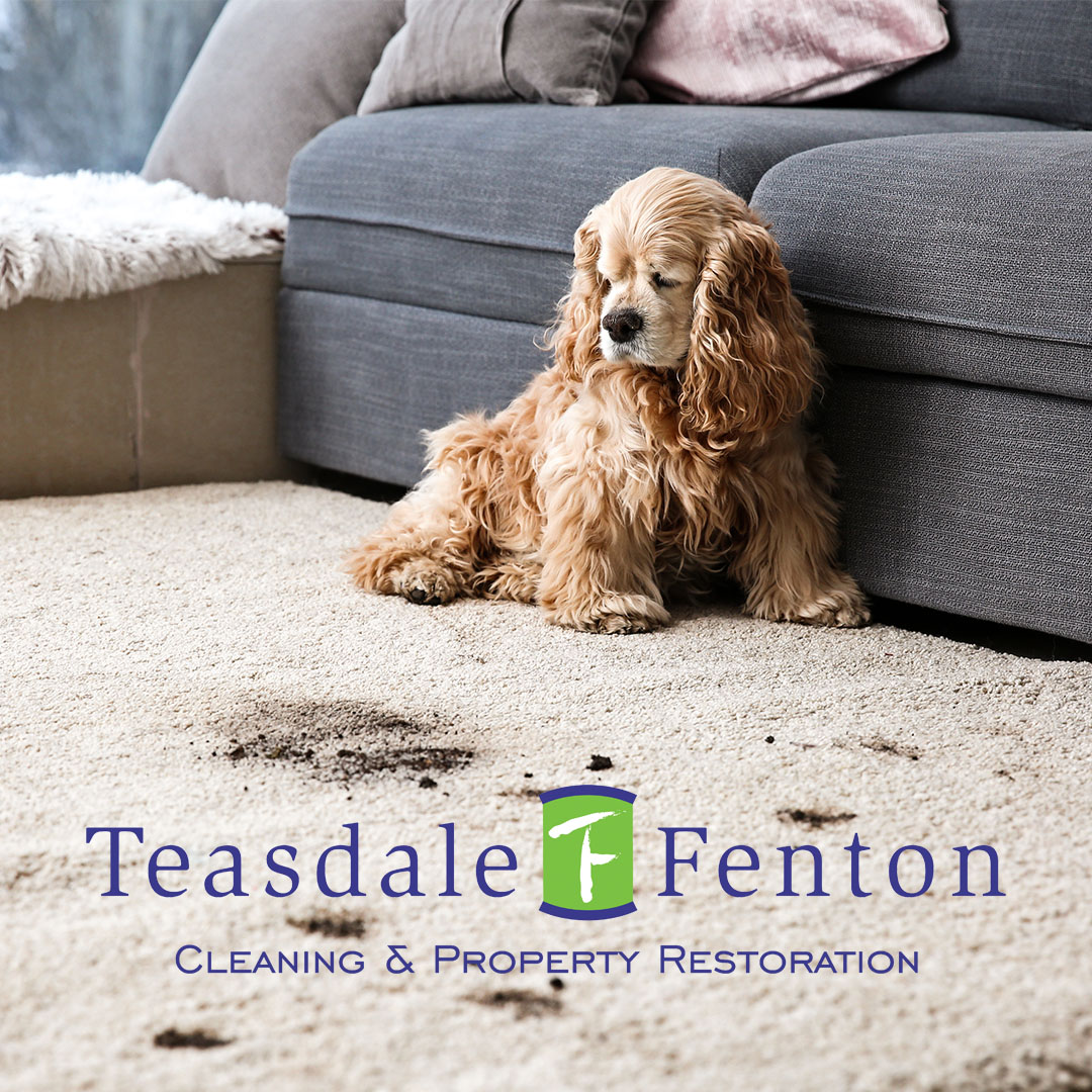 Teasdale Ad Teasdale Ad